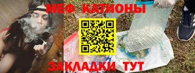 прущие грибы Можайск