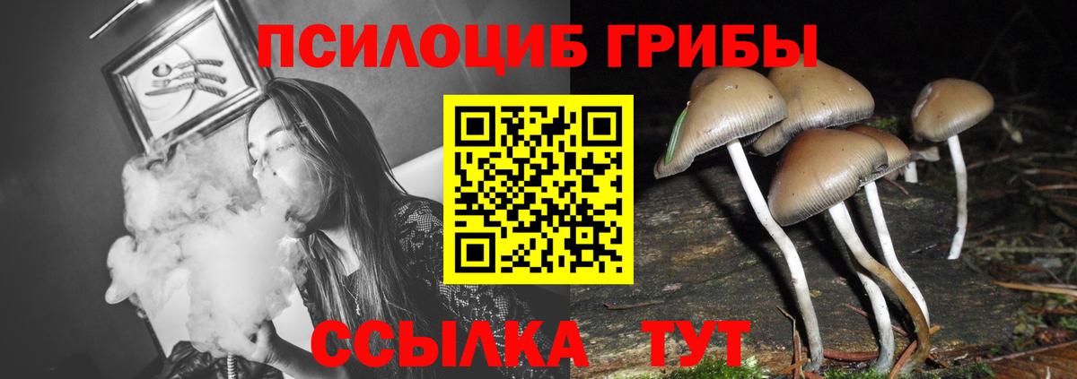 Тара  Псилоцибиновые грибы Cubensis  дарнет шоп  Вход с VPN  Галлюциногенные грибы ЛСД 